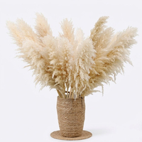 Dekorasi Rumput Pampas Kering, Bulu Rumput Alami Lembut untuk Dekorasi Rumah Gaya Boho, Pampas Tinggi Warna Krem Beige untuk Vas Ruang Tamu Pernikahan