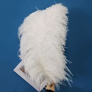 Venta barata 28-30 pulgadas plumas de ala de avestruz esponjosas blancas y coloridas para decoración de escenario de boda de fiesta