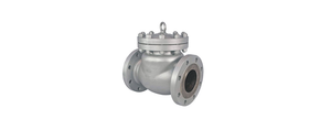 Válvula de Retención de Acero al Carbono Clase 150 con Brida RF RB ASTM A216 WCB Industrial - Product Image 5