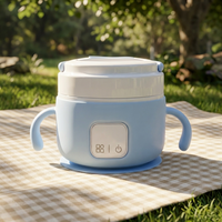 Boîte à lunch électrique sans fil chauffante de 450 ml avec chauffe-aliments pour bébé, étanche, sans BPA, pour les enfants de 0 à 12 mois