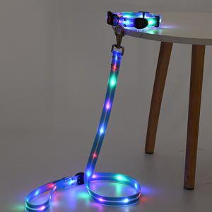 Set Guinzaglio e Collare per Cani Regolabile Anti-smarrimento, Luminoso al Buio, in Nylon Impermeabile - Product Image 1