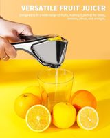 Pemeras Lemon Aloi seng Juicer Lemon, Juicer Manual untuk Lemon jeruk limau jeruk, pemeras jeruk genggam