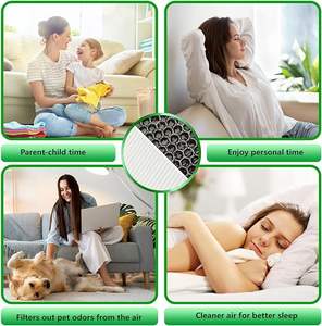 Filtro de purificador de aire de coche personalizado, filtro de aspiradora HEPA de alta eficiencia para eliminar el filtro de carbón activado de formaldehído - Product Image 4