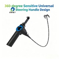 Endoscope vétérinaire réutilisable EUR PET de haute qualité pour smartphone, gastroscopie portable pour chiens et chats