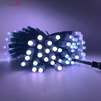 WS2811 Module de lumière LED programmable RVB couleur de rêve 50 pièces/chaîne IP68 éclairage paysager décoratif DC5V 12v entrée 12mm Pixel