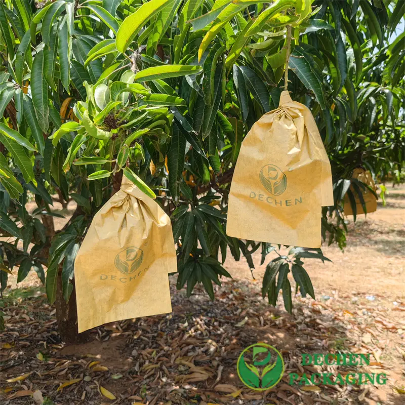 Bagging De Frutas Em Goiaba E Romã Proteção Capa Bag