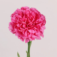 Fleur d'œillet artificielle L-901 au toucher réel - Grande composition de 50 cm de haute qualité pour la Fête des Pères et la décoration du Nouvel An chinois