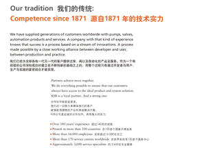 Diaphragmes de pompe à eau submersible <span class=keywords><strong>Wilden</strong></span> PP AODD à faible pression pneumatique <span class=keywords><strong>P2</strong></span>/PKPPP/WFS/WF/PWF/0400 résistants aux acides pour le traitement de l'eau - Product Image 6