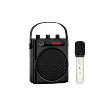 Mini haut-parleur karaoké 30w de haute qualité Haut-parleur Bluetooth portable à gamme complète de 4 pouces avec microphone