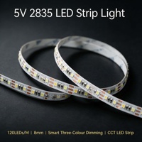 Bande LED 5V 2835 120 LED/m 8mm intelligente à trois couleurs, gradation réglable, bande LED CCT