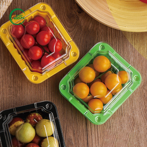 Boîtes à fruits en plastique PET en gros pour supermarchés et épiceries, économiques et rentables - Product Image 2