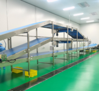 Ligne de production de biscuits à haut rendement entièrement automatique personnalisée en usine SINOFUDE