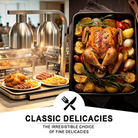 Lampe chauffante alimentaire professionnelle robuste à double ampoule en acier inoxydable avec bac à aliments pour restaurant, hôtel, traiteur