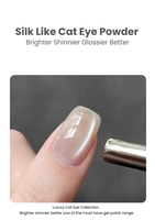 MyBeautyNails Nail Supply Hema et Tpo Free Fall Magnet Magnetic Cat Eye Gel Polish Set Red Silk Moonlight Cat Eye Gel