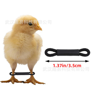 Support de jambe en plastique pour poussins, protège-pattes pour l'assistance à la croissance des jeunes poulets - Product Image 2