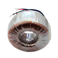 Transformateur toroïdal à noyau en acier au silicium personnalisé 220V vers 24V pour amplificateurs audio – Ventes flash 2026