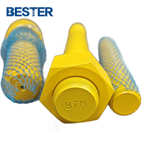 ASTM A320 A193 B7 B7m B8 B8m B16 B16m 35crmoa Classe 150 Revêtement Xylon Api 20e Boulon à double goujon clouté