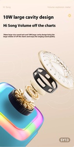 Mini Xách Tay Âm Thanh Tích Hợp Microphone Nhà Hát Karaoke Gia Đình Không Dây BT Ngoài Trời Loa Di Động Với Mic - Product Image 5