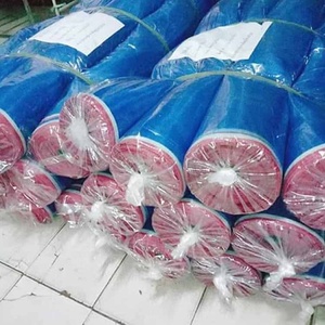 Màn Chống Muỗi Màu Xanh 80G/Giá Lưới Nylon/Cuộn Lưới Chống Muỗi Philippines - Product Image 4