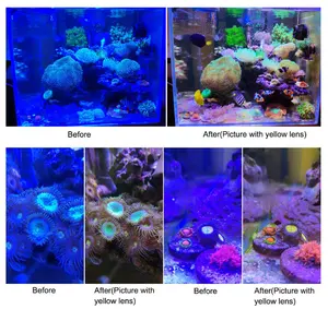 Kit de lentes Macro de Coral Universal, lentes de filtro amarillo y naranja, fotografía profesional, 7 en 1, para acuario, Arrecife de Coral