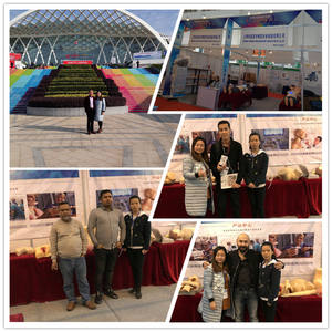 Modelo Anatómico Sagital Femenino ADA-A1086, Tamaño Real, Producto de Ciencia Médica con Certificación ISO - Product Image 5