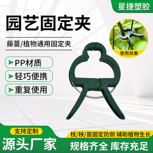 Clips de Jardinería para Orquídeas, Plástico Verde Ajustable, Soporte para Plantas Trepadoras, Tomateras, Jardinería Doméstica y Agricultura - Product Image 2