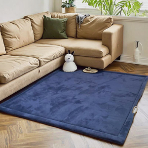 Bán Buôn San Hô Nhung Phòng Khách Sofa Bên Thảm Dày Bọt Làm Đầy Bé Chơi Mat Đệm Không Trượt Bộ Nhớ Bọt Thảm - Product Image 1