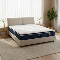 Matelas à ressorts ensachés de luxe, durable et respirant, avec mousse à mémoire de forme et latex naturel, idéal pour chambre d'étudiant
