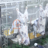 Équipement de levage de vaches de haute qualité pour les machines d'abattoir