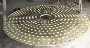 Disco de flor química FRP Material resistente a la corrosión 50-500mm para posicionamiento de reactor - Product Image 4