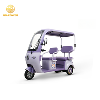 Tricycle électrique de passager direct d'usine 800W double moteurs tricycle électrique à trois roues deux places pour la mobilit