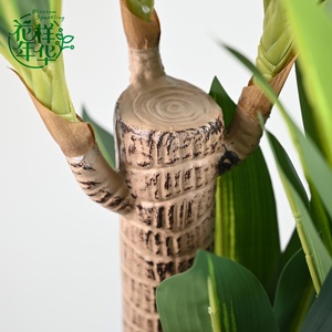 ต้นบอนไซประดิษฐ์จากต้นเหล็กบราซิลแบบรวมก้าน 3 ชิ้น ขนาด 150 ซม. ขายดีสำหรับตกแต่งสวนในร่มและกลางแจ้ง - Product Image 3