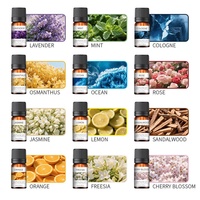 Huile Essentielle Végétale Pure pour Diffuseur d'Arômes d'Intérieur, Humidificateur et Huile Essentielle Aromathérapeutique Hydrosoluble pour Voiture