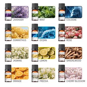 Óleo Essencial Vegetal Puro Para Umidificador de Ambientes Difusor de Aromaterapia e Carro Óleo Essencial de Aromaterapia Solúvel em Água - Product Image 1