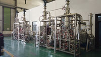 Équipement de distillation moléculaire en acier inoxydable, évaporateur à trajet court pour la transformation de l'huile de poisson, des huiles et des graisses