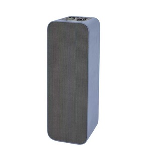 AAWM成品派对扬声器双10英寸，带11.1V 9000毫安时大容量锂电池木箱和聚氨酯大声音 - Product Image 1