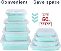 Vente chaude Moderne Étanche Cuisine Accessoires BAR Free Silicone Pliable Réutilisable Boîte À Lunch Conteneur Bol De Stockage Ensemble Alimentaire