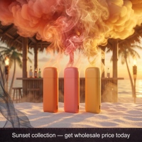 Dispositif jetable 2ml 5g rechargeable USB Type-C, logo personnalisé, vente en gros OEM ODM, usine chinoise, magasin de fumeurs, entrepôt UE, livraison 3-5 jours