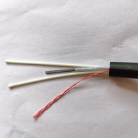 Cable de Fibra Óptica ADSS Mini de 3.0mm, Redondo, para Interiores y Exteriores, de 2-288 Hilos, Monomodo/Multimodo, con Cubierta de PE/AT, Suministro de Fábrica FTTH
