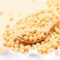 Poudre de lait de soja riche en protéines pour le fitness, sachet individuel, saveur originale, poudre de lait de soja instantanée pour le bureau