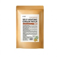 Patch chauffant au gingembre en gros, 50 pièces/sac, plâtre naturel à base de plantes pour soulager les douleurs au genou, au cou et à la taille, logo personnalisé