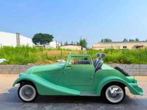 Factory Direct Sales Luxury Electric Scooter Car Adults Smart Shopping Golf Three-wheel <b>Float</b> Mini Car 2-seater Car dune Buggy - Product Image 5