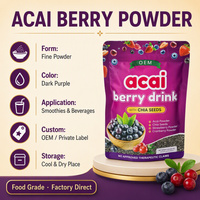 Poudre de fruits d'açaï en vrac pour compléments alimentaires, nutraceutiques, nutrition sportive et marques d'aliments fonctionnels