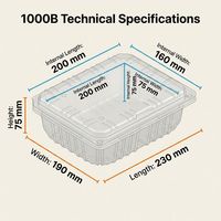 Boîte d'emballage écologique en plastique PET transparent 230x190x75MM avec trous de ventilation respirants pour sandwichs, fast-food, pâtisseries et salades