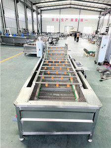 Hot Sale <strong>Vegetable</strong>/Fruits/Mushroom <strong>Production</strong> SUS 304 Material Bubble Washing/Cleaning Line - Product Image 4