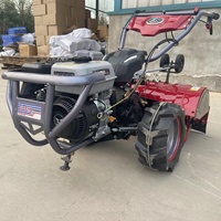 Motoculteur Compact Agricole Professionnel et Domestique, Mini-Tracteur à Marche, Cultivateur