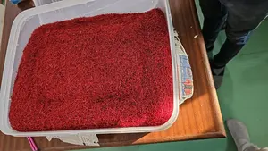 Azafrán Kashmiri Lacha es una variedad de azafrán premium, de alto aroma, caracterizada por sus estigmas largos y de color rojo intenso que adquieren un tono amarillo/naranja. - Product Image 2