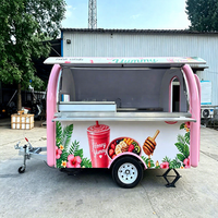 Petit chariot alimentaire remorquable en acier inoxydable, remorque à café mobile entièrement équipée pour la vente de frites et de boissons en extérieur dans les parcs