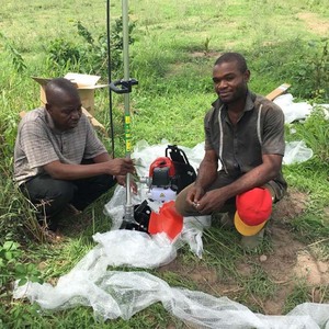 Máy Làm Cỏ Nông Nghiệp Máy Làm Cỏ Ba Lô Máy Làm Cỏ Cầm Tay - Product Image 2