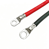 Harnais de câblage sur mesure en fil robuste avec cosses annulaires pour connexion de batterie de stockage d'onduleur solaire
